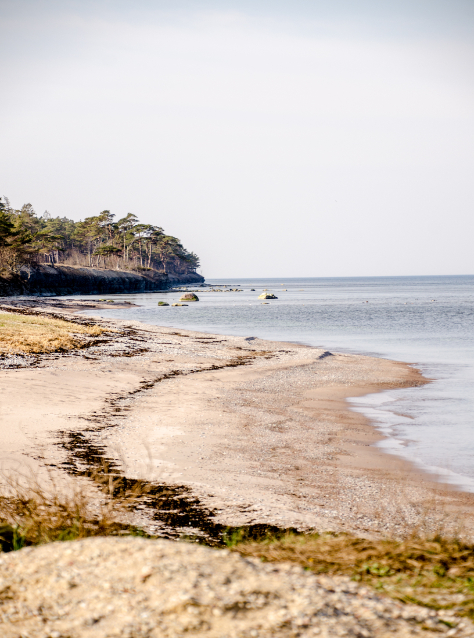 BILD PÅ DJUPVIKS STRAND